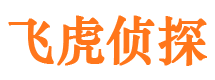 鹤城侦探公司